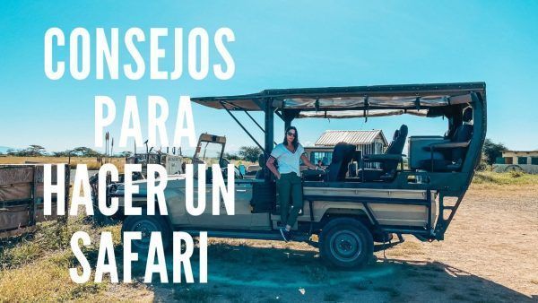 consejos para hacer un safari