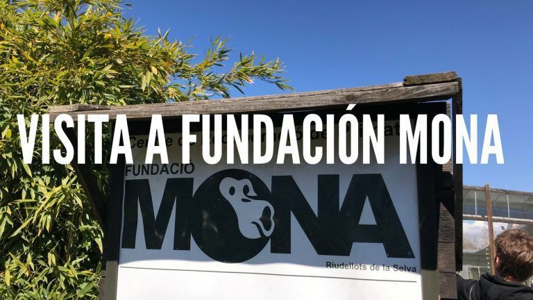 cartel de bienvenida de Fundación Mona donde pone Mona en grande (logo de la asociación)