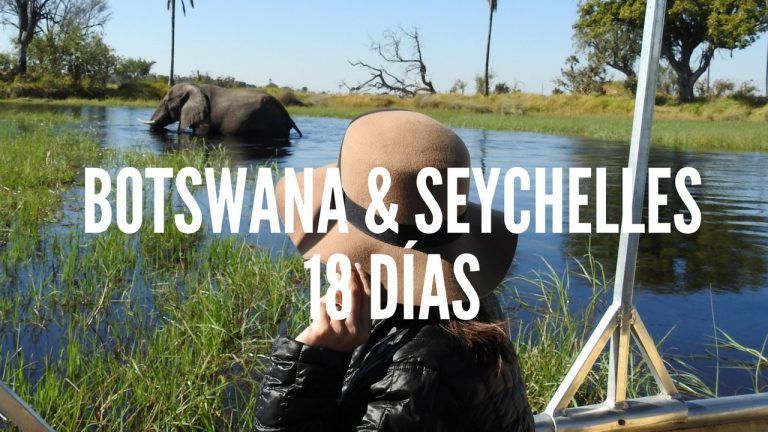yo de espaldas con sombrero marrón mirando a un elefante que está medio sumergido en el agua