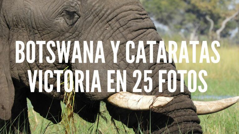 cara del elefante de fondo (de lado) y título del post en letras blancas