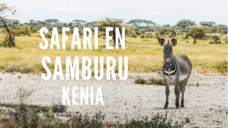 safari en samburu kenia