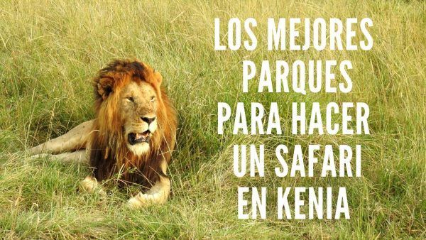 mejores parques para hacer safari en kenia