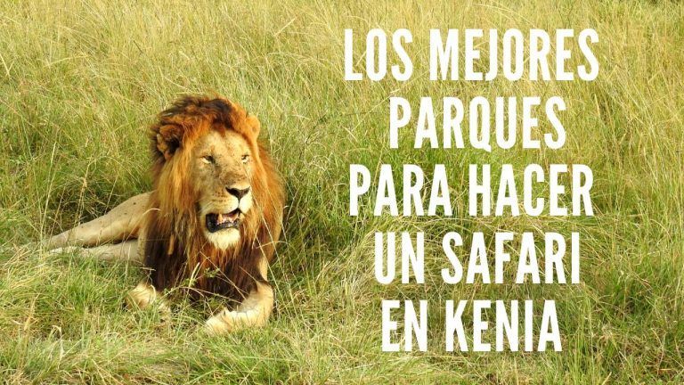 mejores parques para hacer safari en kenia