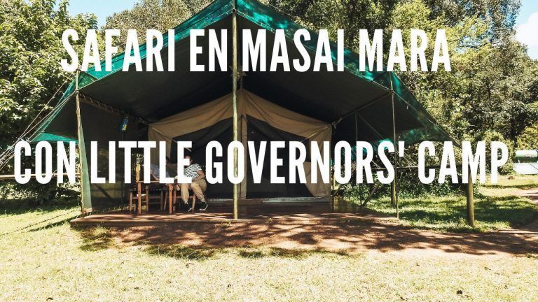 LITTLE GOVERNORS CAMP