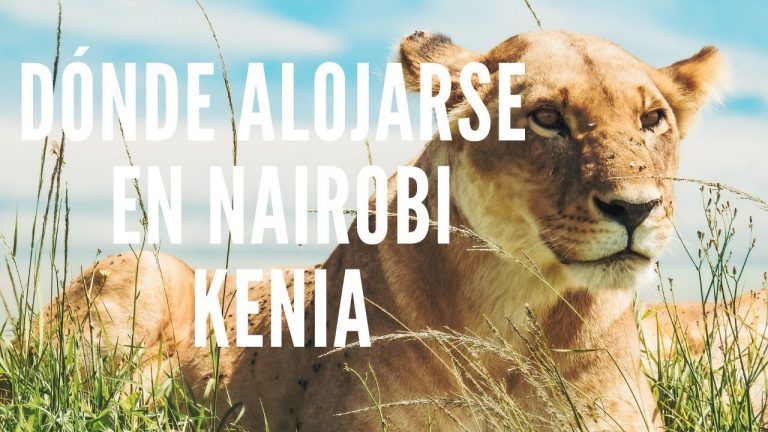 DÓNDE ALOJARSE EN NAIROBI
